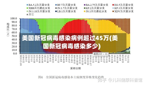 美国新冠病毒感染病例超过45万(美国新冠病毒感染多少)-第2张图片