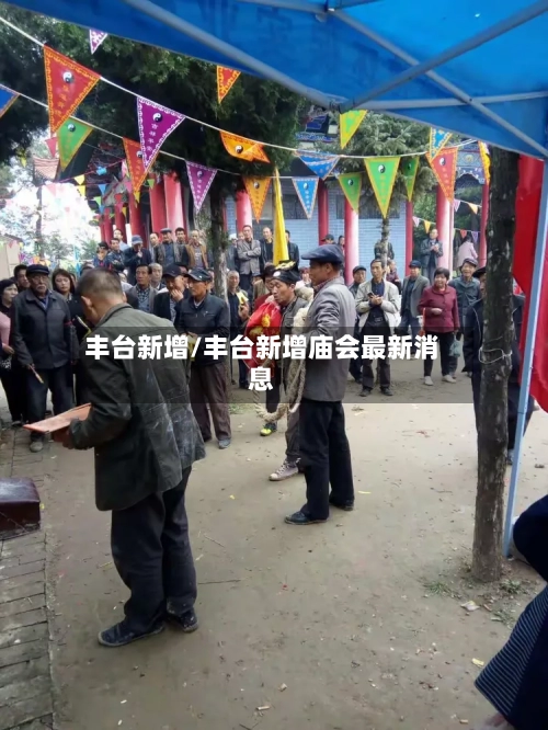 丰台新增/丰台新增庙会最新消息-第2张图片