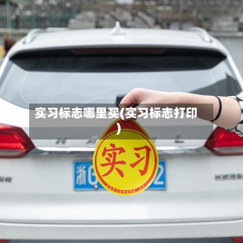 实习标志哪里买(实习标志打印)-第2张图片