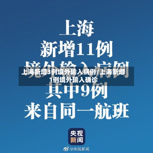 上海新增3例境外输入病例/上海新增1例境外输入确诊-第2张图片
