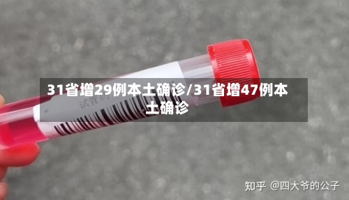 31省增29例本土确诊/31省增47例本土确诊-第3张图片